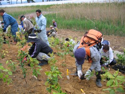 傾斜がきつく足元が悪い・・・